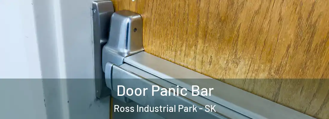  Door Panic Bar Ross Industrial Park - SK