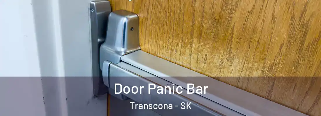 Door Panic Bar Transcona - SK
