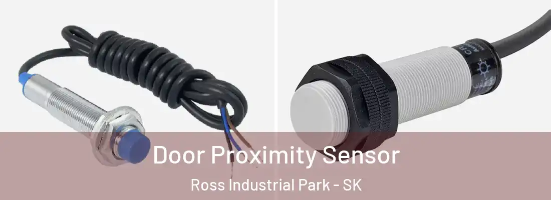  Door Proximity Sensor Ross Industrial Park - SK