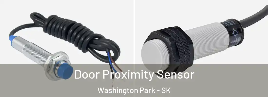 Door Proximity Sensor Washington Park - SK