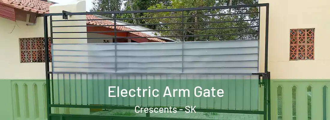  Electric Arm Gate Crescents - SK
