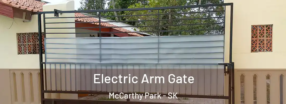  Electric Arm Gate McCarthy Park - SK