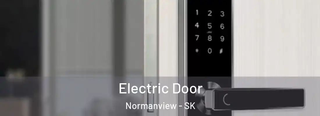  Electric Door Normanview - SK