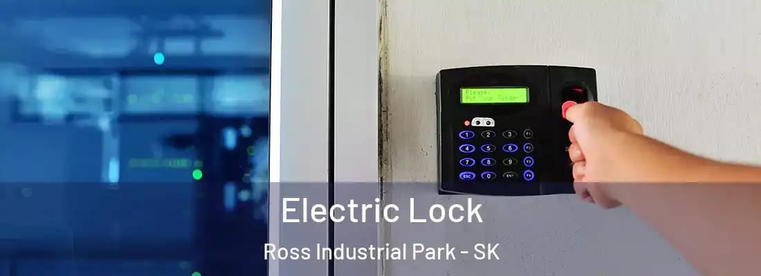  Electric Lock Ross Industrial Park - SK