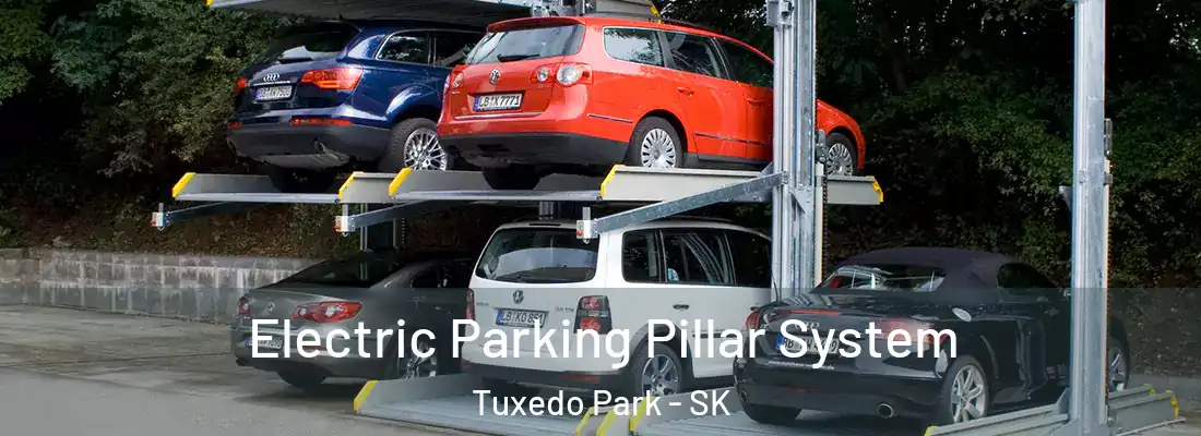  Electric Parking Pillar System Tuxedo Park - SK