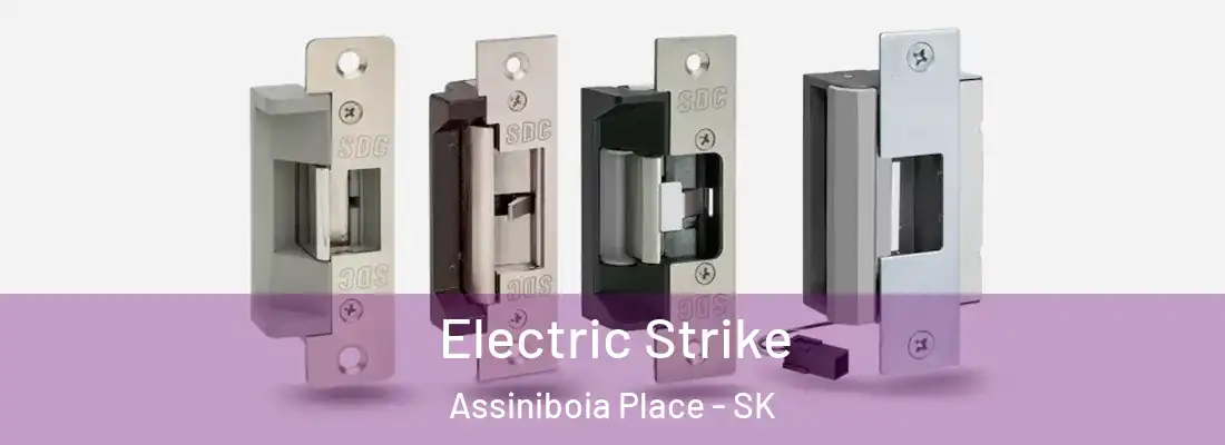  Electric Strike Assiniboia Place - SK