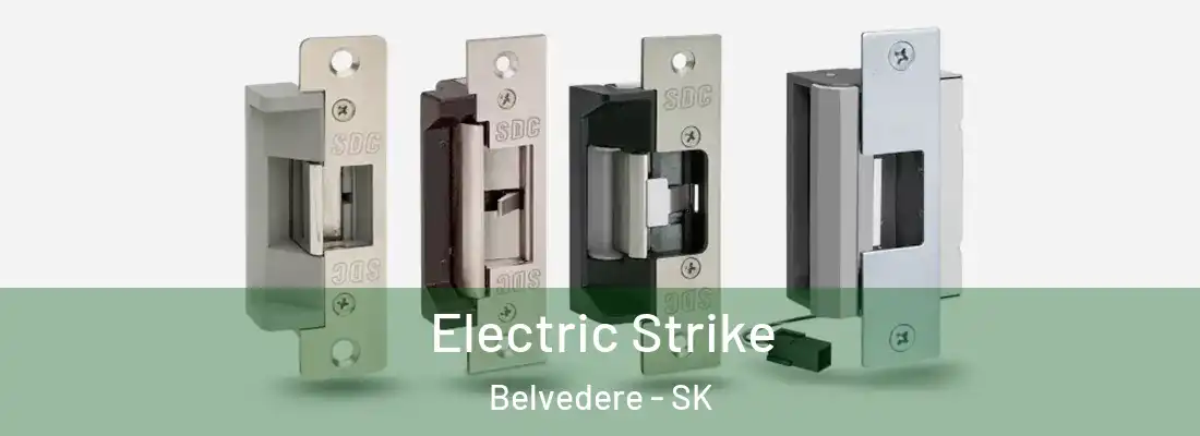  Electric Strike Belvedere - SK