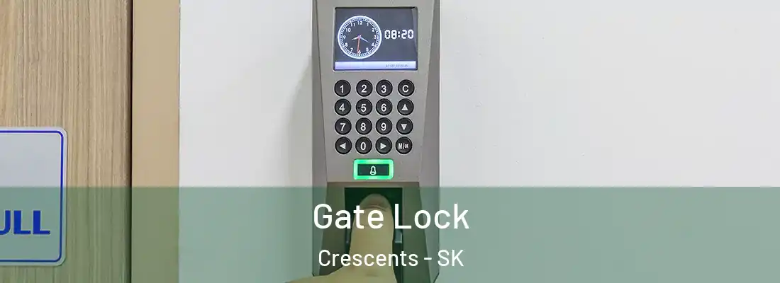 Gate Lock Crescents - SK
