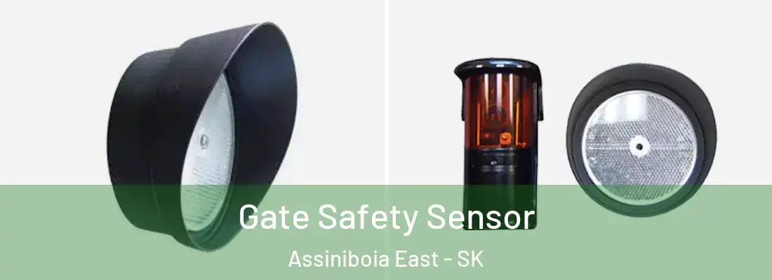  Gate Safety Sensor Assiniboia East - SK