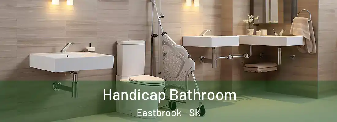  Handicap Bathroom Eastbrook - SK
