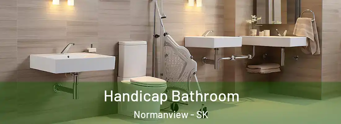  Handicap Bathroom Normanview - SK