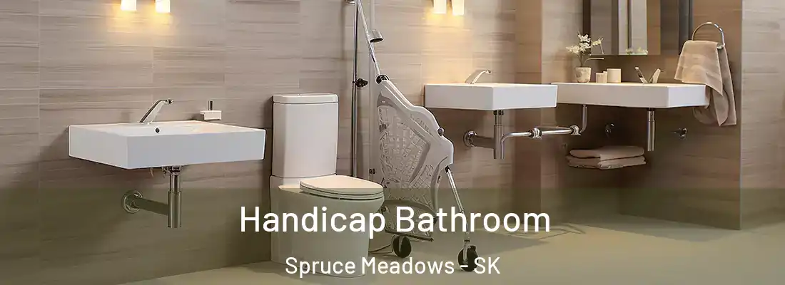  Handicap Bathroom Spruce Meadows - SK