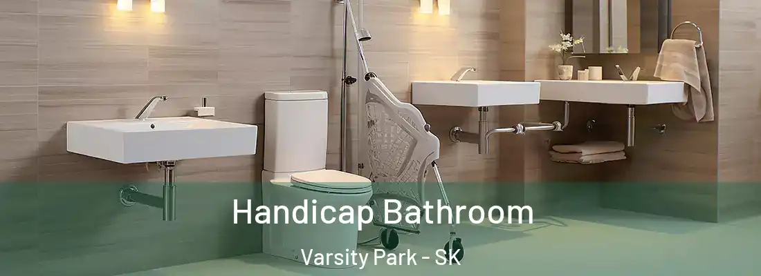  Handicap Bathroom Varsity Park - SK