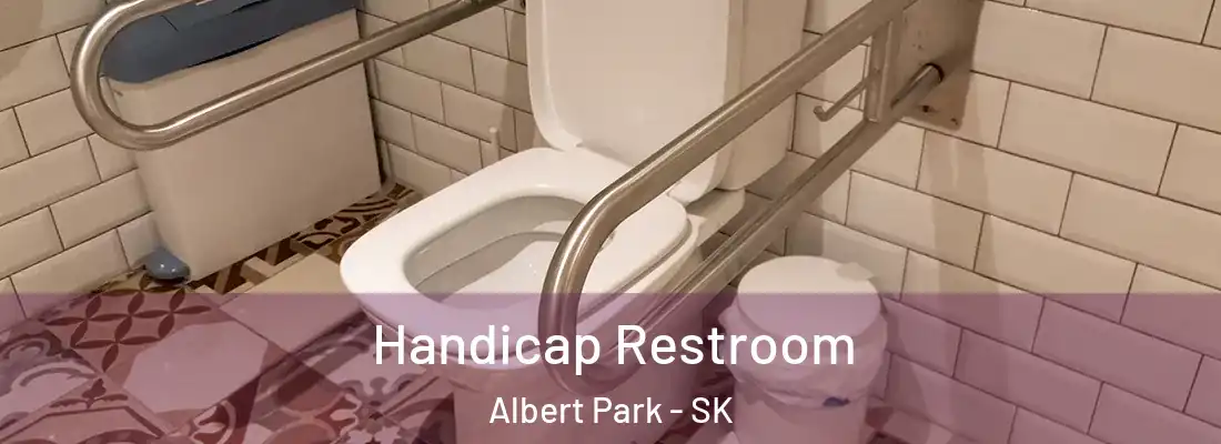  Handicap Restroom Albert Park - SK