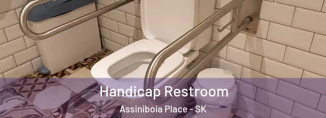  Handicap Restroom Assiniboia Place - SK