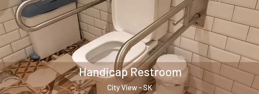 Handicap Restroom City View - SK