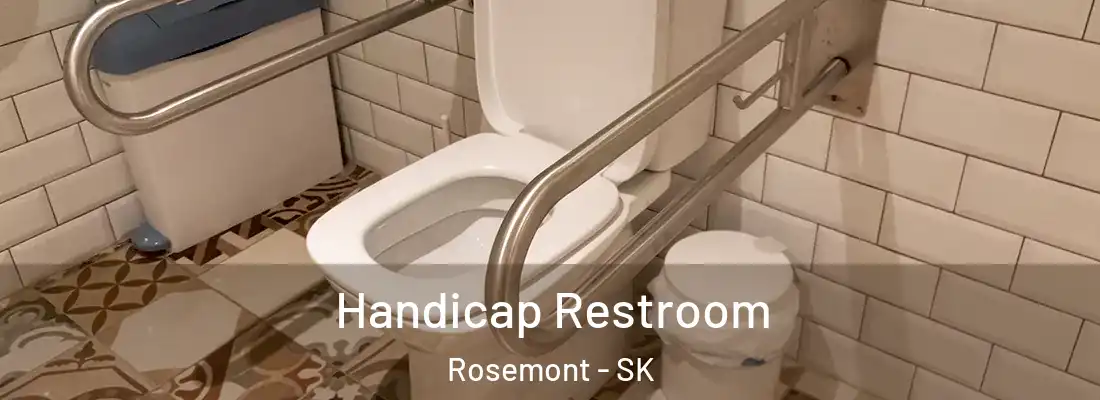  Handicap Restroom Rosemont - SK