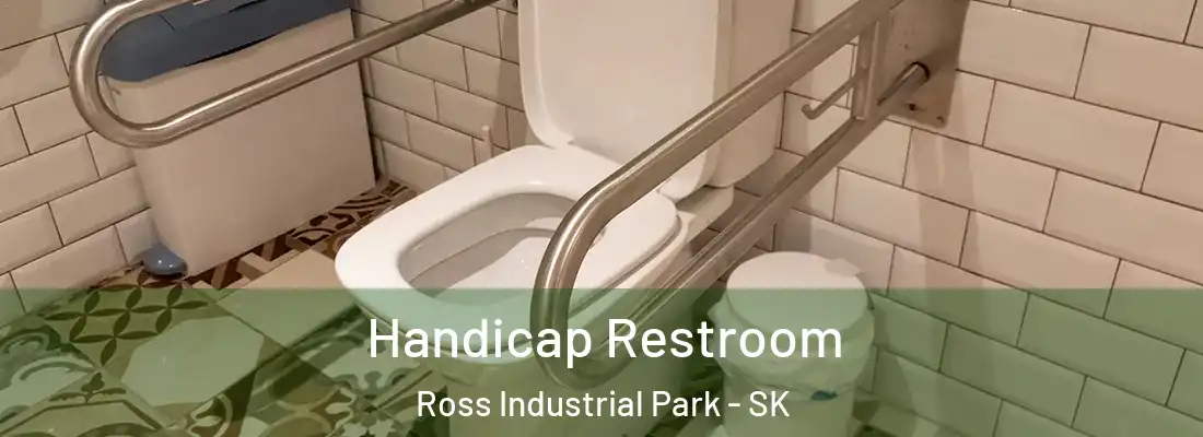  Handicap Restroom Ross Industrial Park - SK