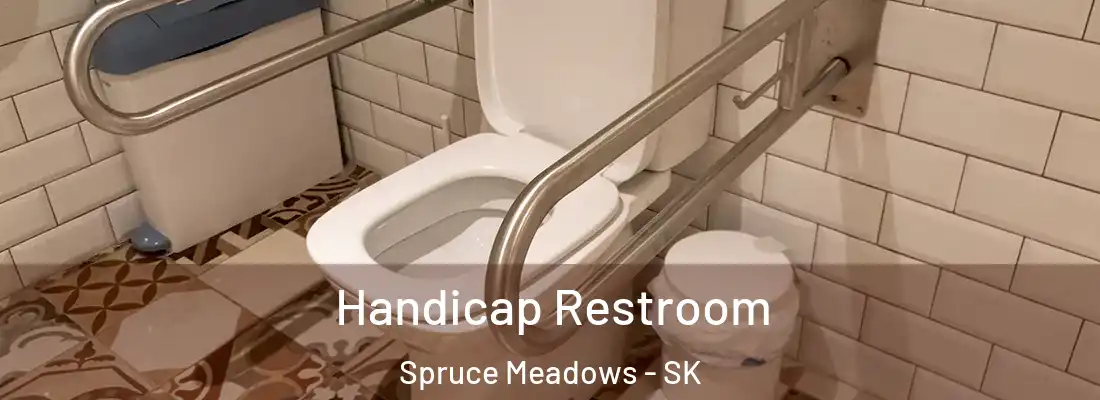 Handicap Restroom Spruce Meadows - SK