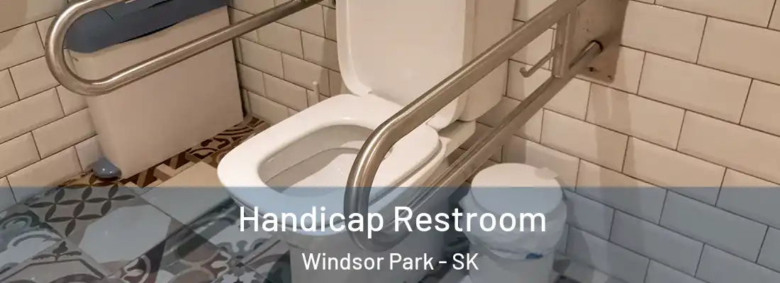  Handicap Restroom Windsor Park - SK