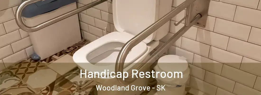  Handicap Restroom Woodland Grove - SK