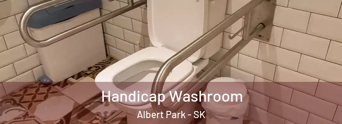  Handicap Washroom Albert Park - SK