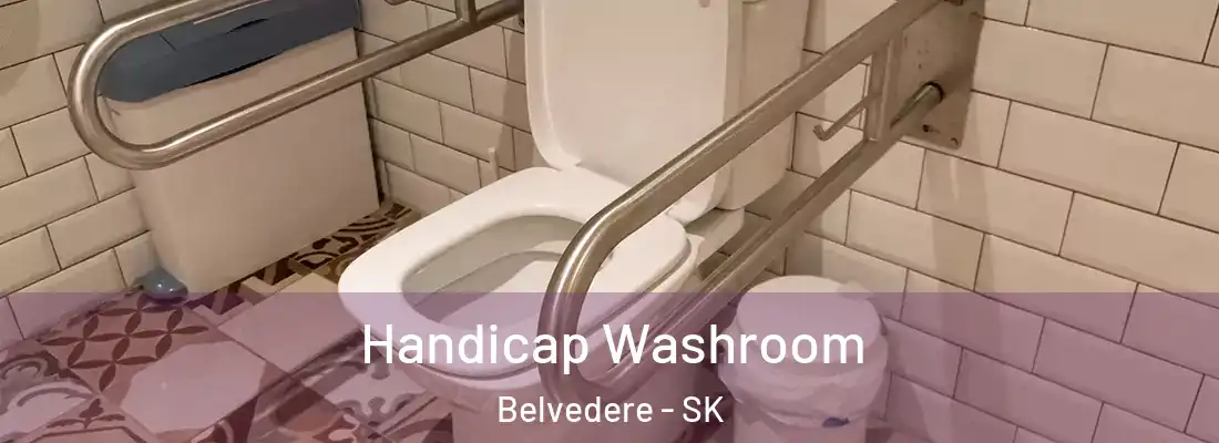  Handicap Washroom Belvedere - SK