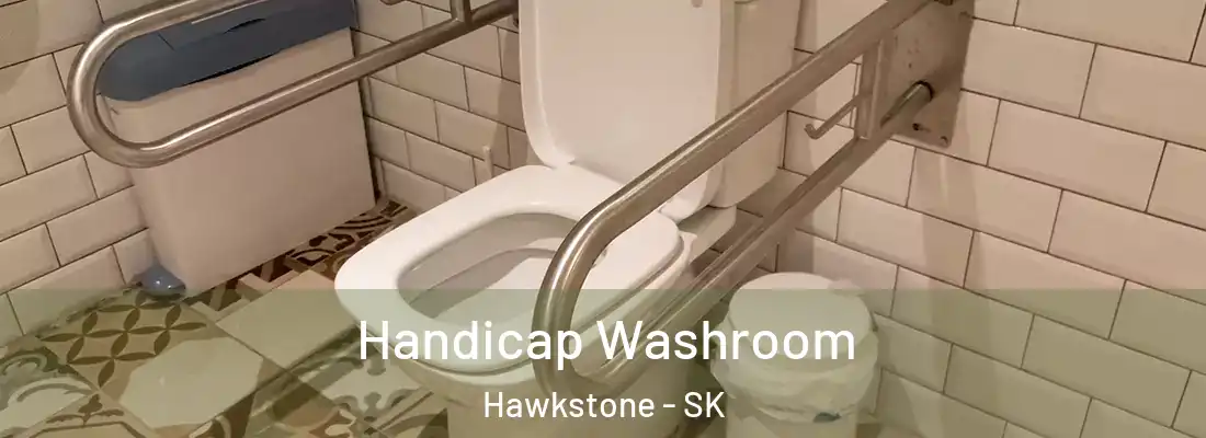  Handicap Washroom Hawkstone - SK