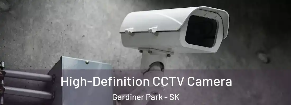 High-Definition CCTV Camera Gardiner Park - SK