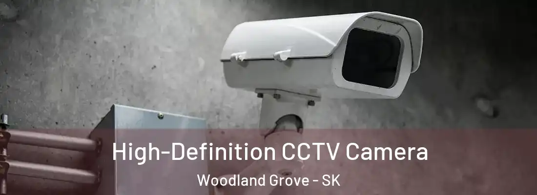  High-Definition CCTV Camera Woodland Grove - SK