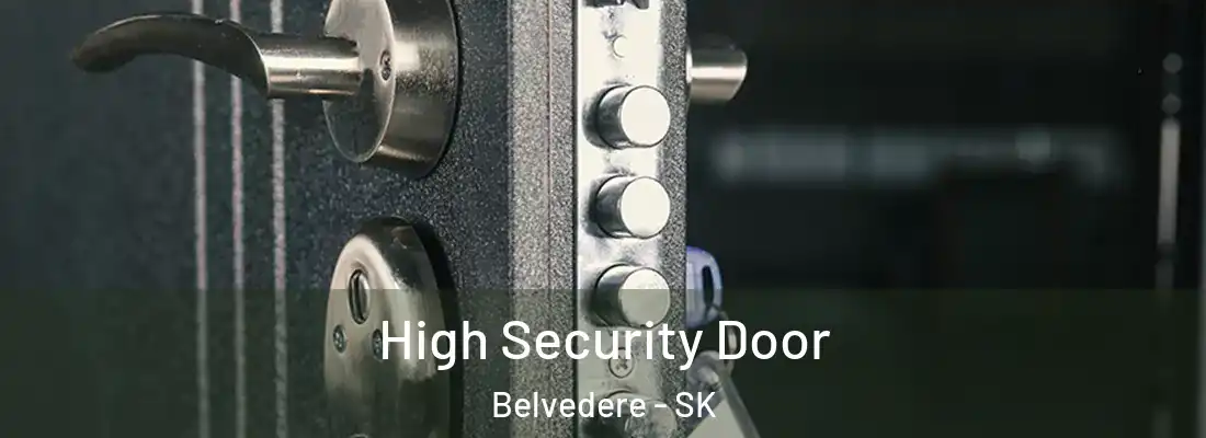  High Security Door Belvedere - SK