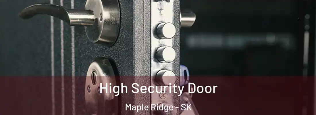  High Security Door Maple Ridge - SK