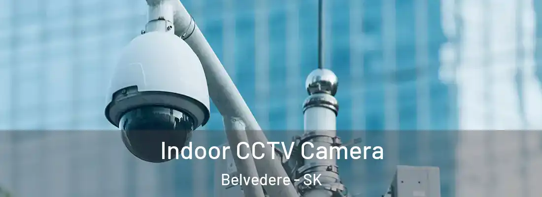  Indoor CCTV Camera Belvedere - SK