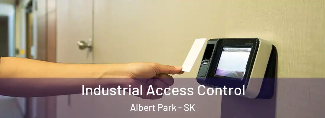  Industrial Access Control Albert Park - SK