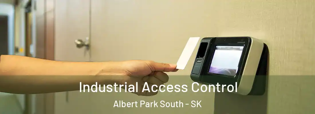  Industrial Access Control Albert Park South - SK