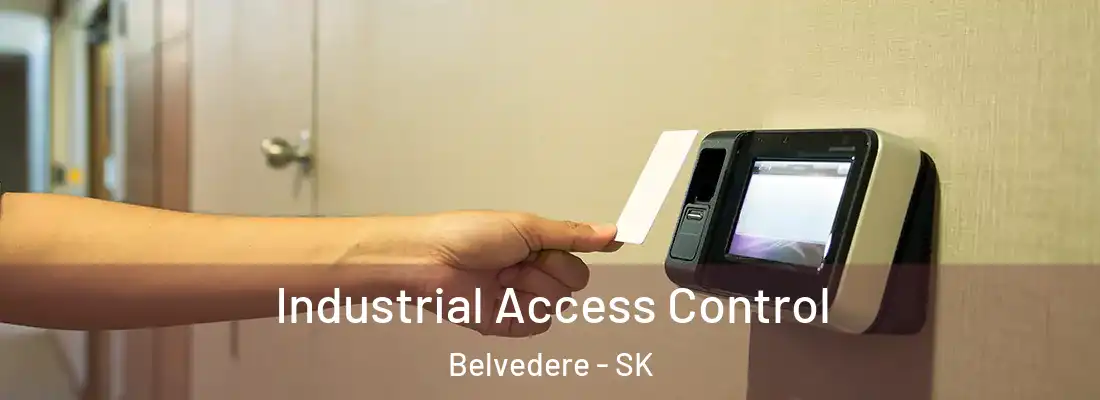  Industrial Access Control Belvedere - SK