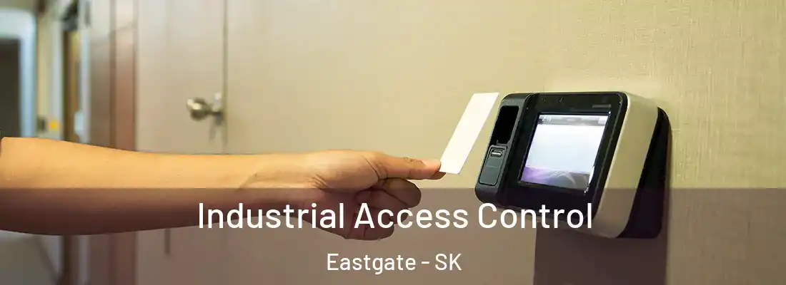  Industrial Access Control Eastgate - SK