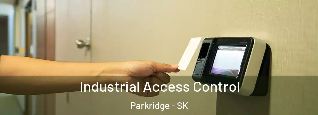  Industrial Access Control Parkridge - SK
