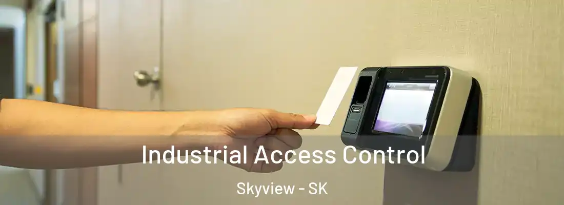 Industrial Access Control Skyview - SK