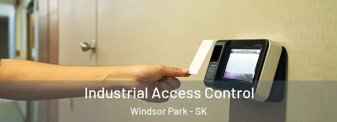  Industrial Access Control Windsor Park - SK