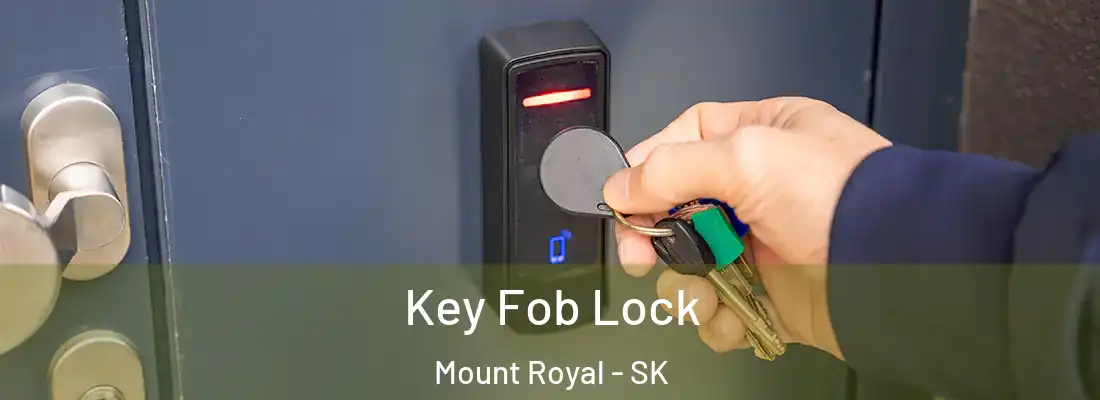  Key Fob Lock Mount Royal - SK