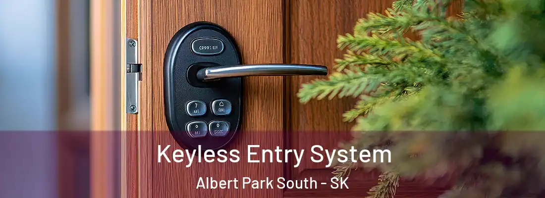  Keyless Entry System Albert Park South - SK