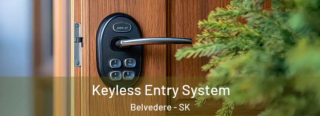  Keyless Entry System Belvedere - SK