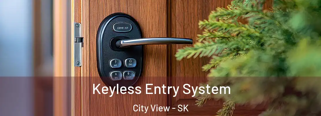  Keyless Entry System City View - SK