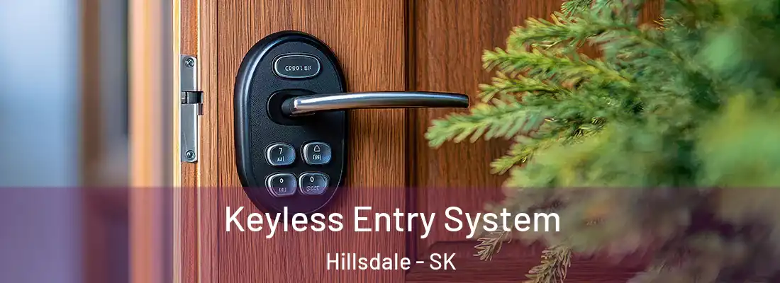  Keyless Entry System Hillsdale - SK