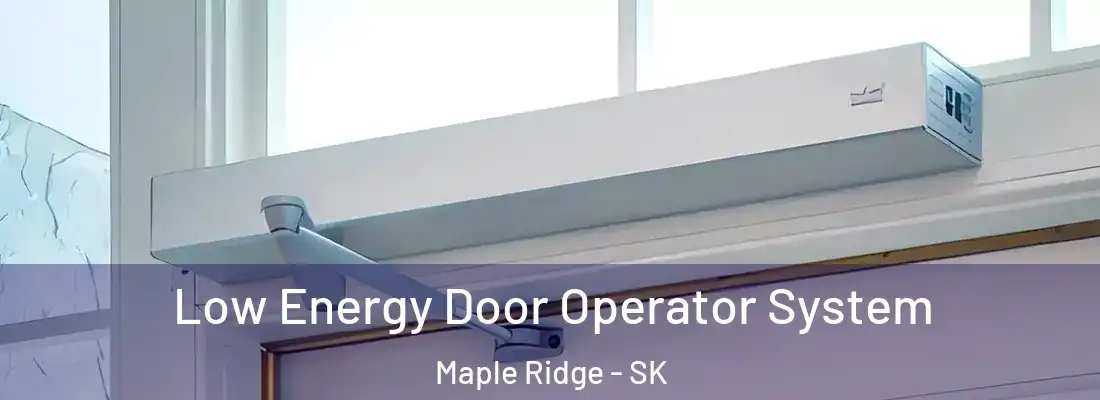 Low Energy Door Operator System Maple Ridge - SK