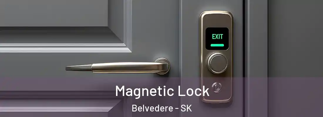  Magnetic Lock Belvedere - SK