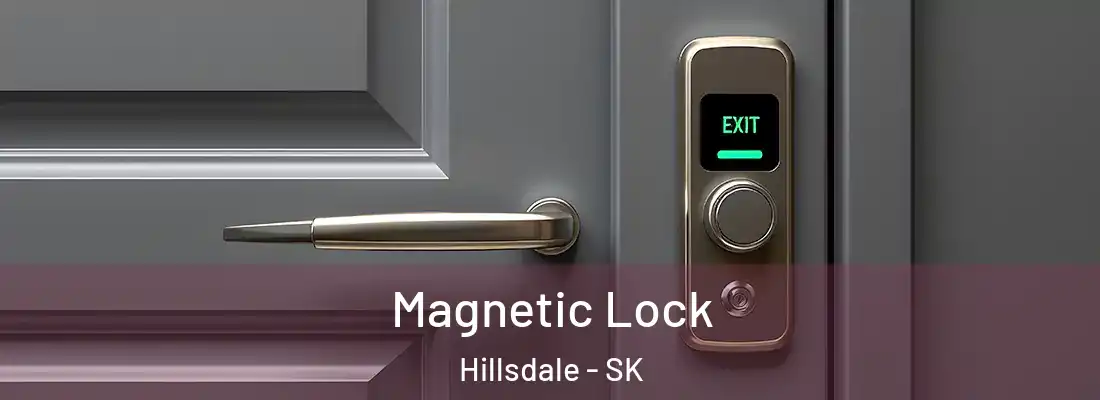  Magnetic Lock Hillsdale - SK