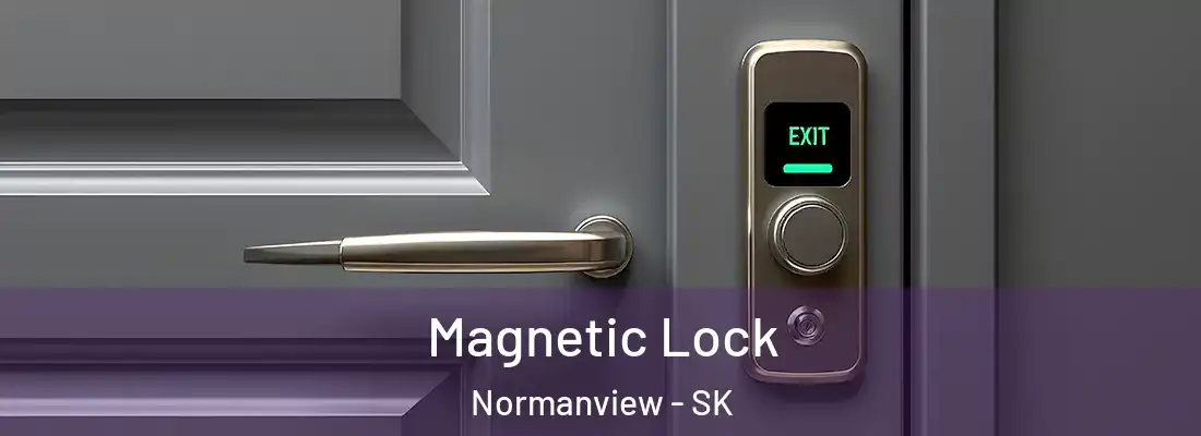  Magnetic Lock Normanview - SK