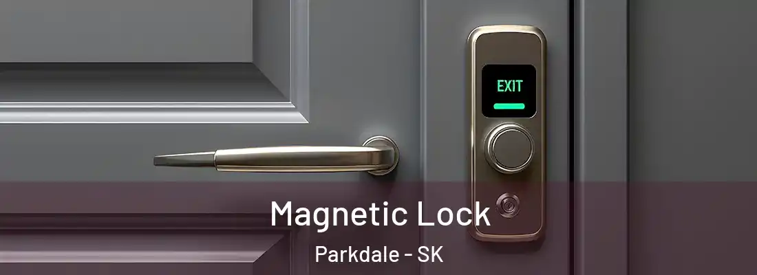  Magnetic Lock Parkdale - SK